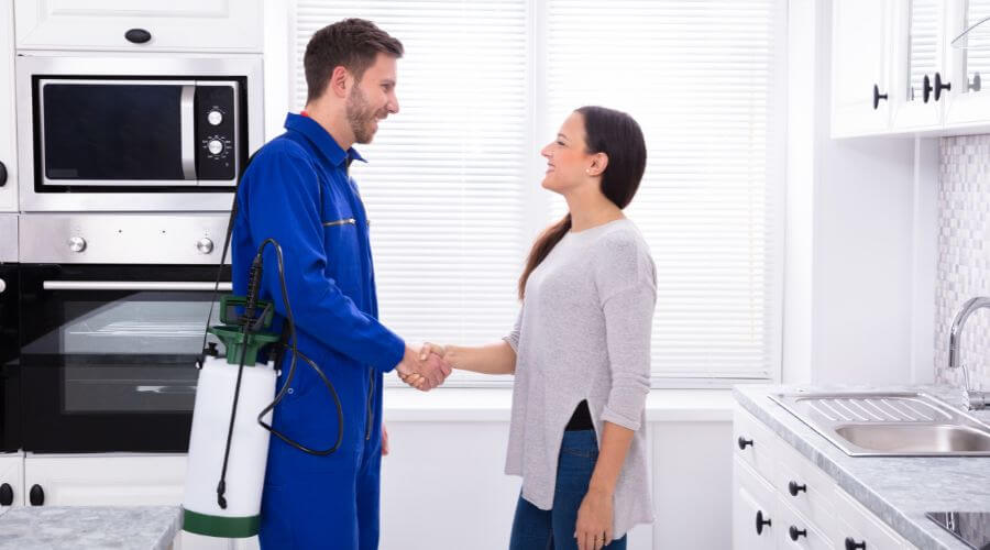 Professional wasp nest removal services in Orleans - WNR Orleans